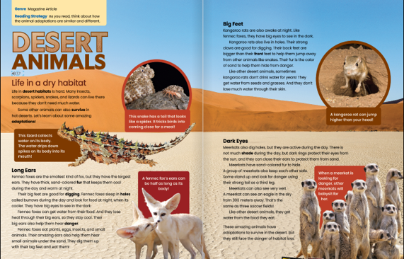 GO Bilingual コース教材